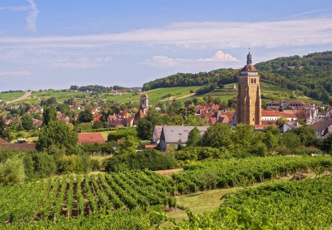 Arbois capitale du vignoble du Jura