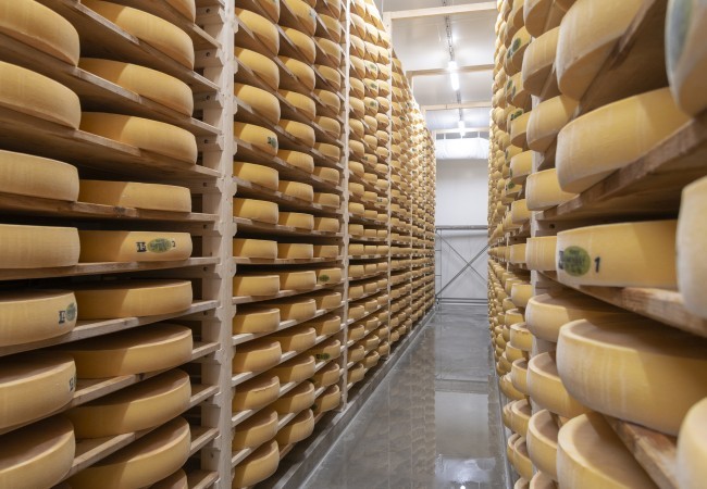 cave à Comté